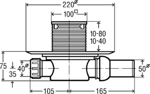 DDm49362